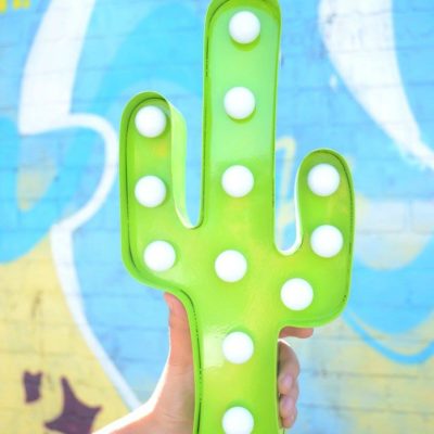 The Ultimate Cactus LED Light Review: Sass & Belle