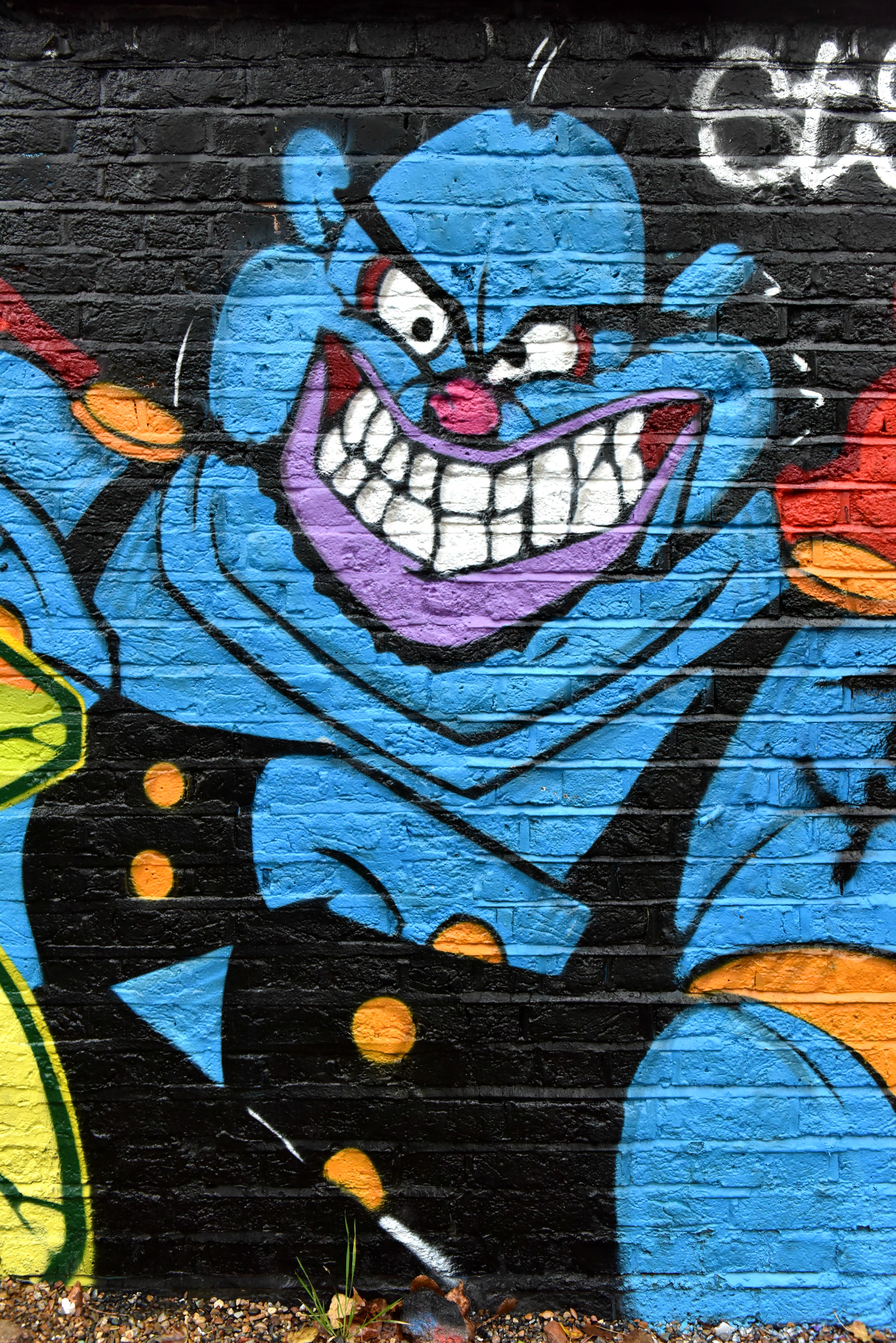 <img src="ana.jpg" alt="ana blue genie mural street art"> 