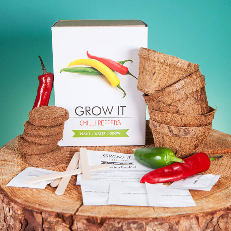 <img src="ana.jpg" alt="ana grow your own chilli peppers prezzybox"> 