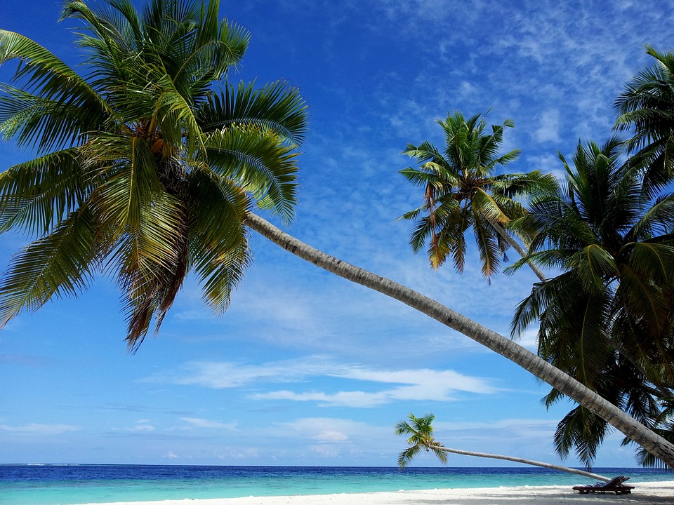 <img src="ana.jpg" alt="ana maldives palm trees honeymoon destinations abroad"> 