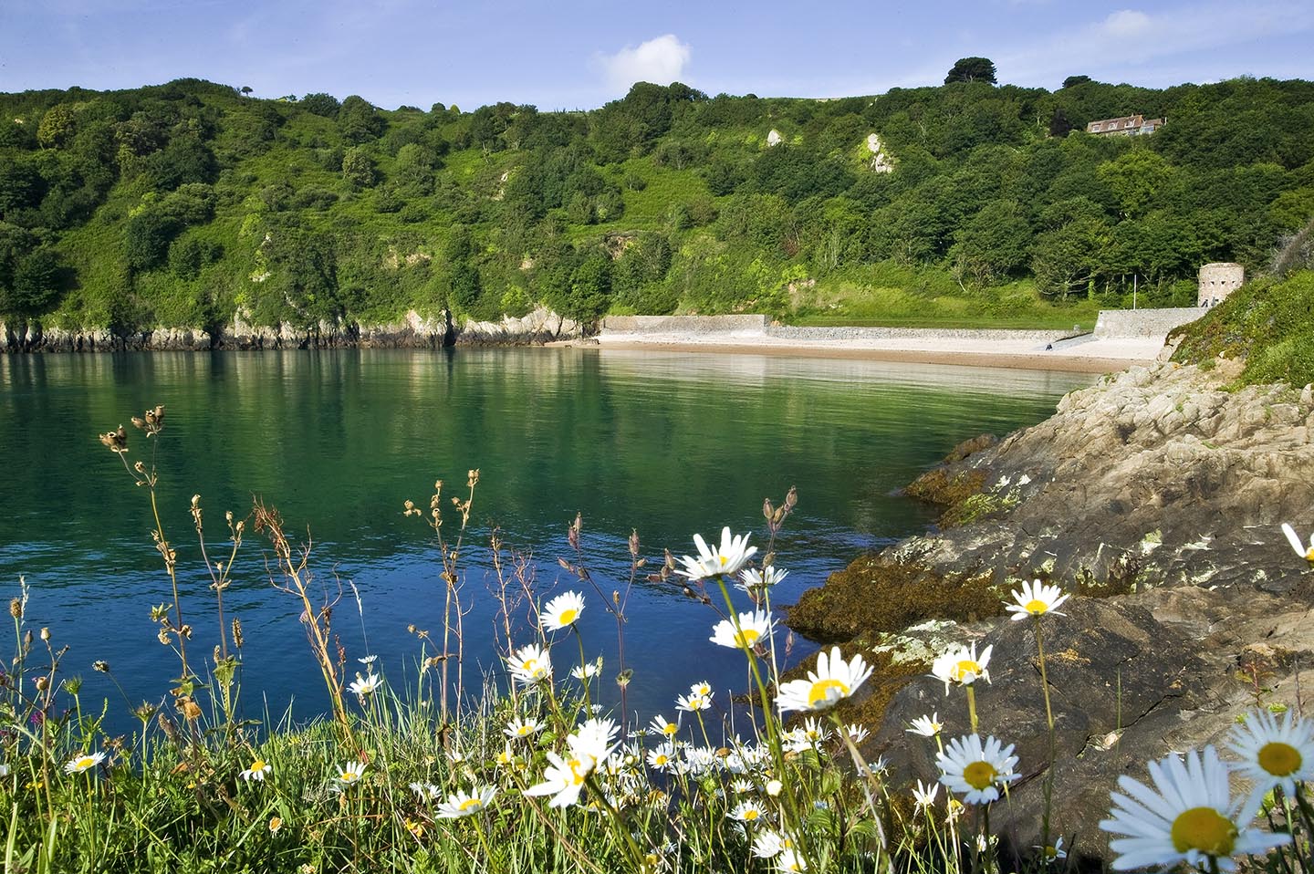 <img src="ana.jpg" alt="ana natural coastline Guernsey"/> 