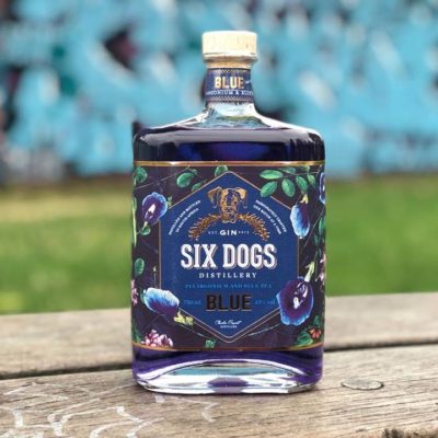 A Journey Into Mermaidville With Six Dogs Blue Karoo Gin