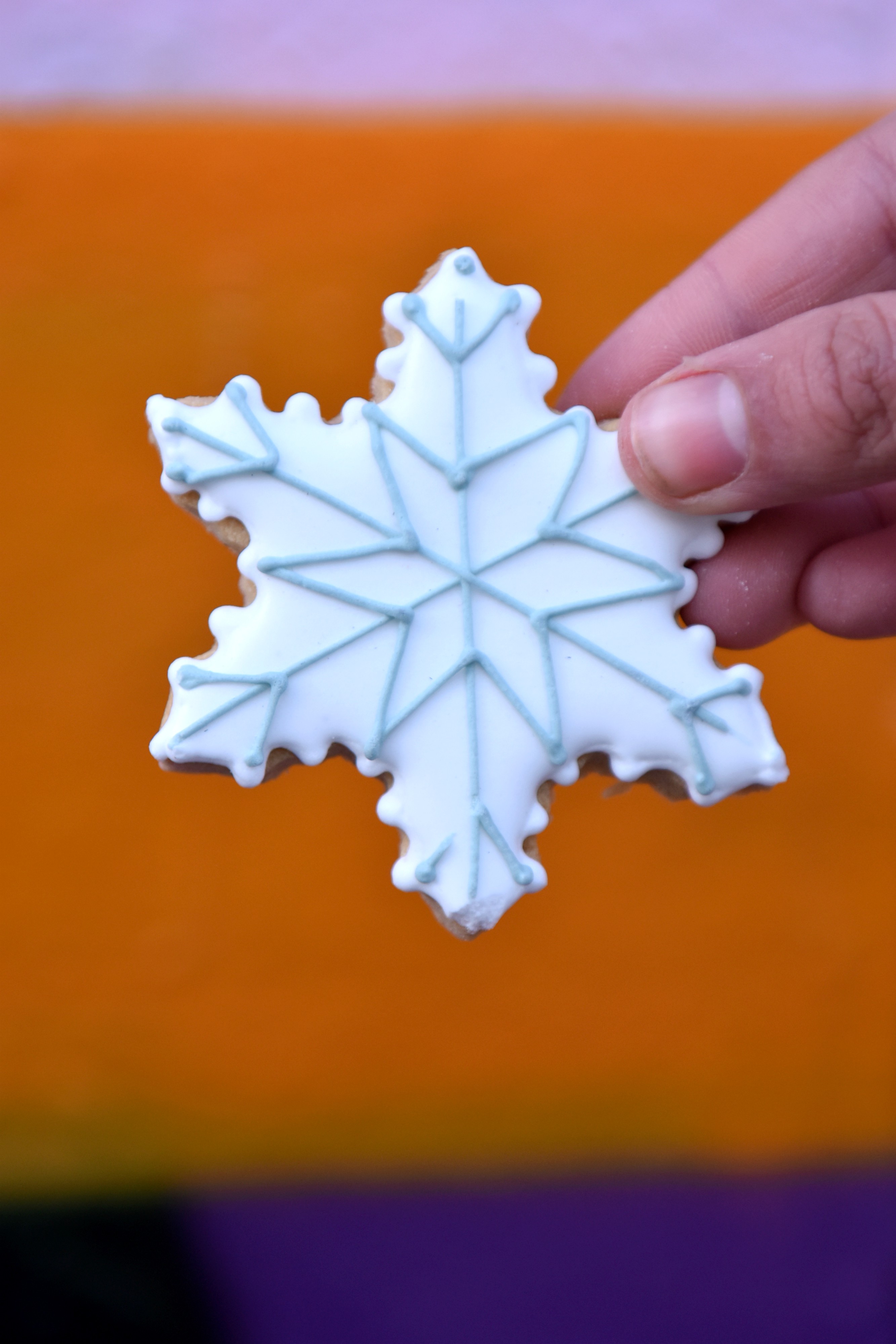 <img src="ana.jpg" alt="ana snowflake biscuit christmas gift guide for her"/> 