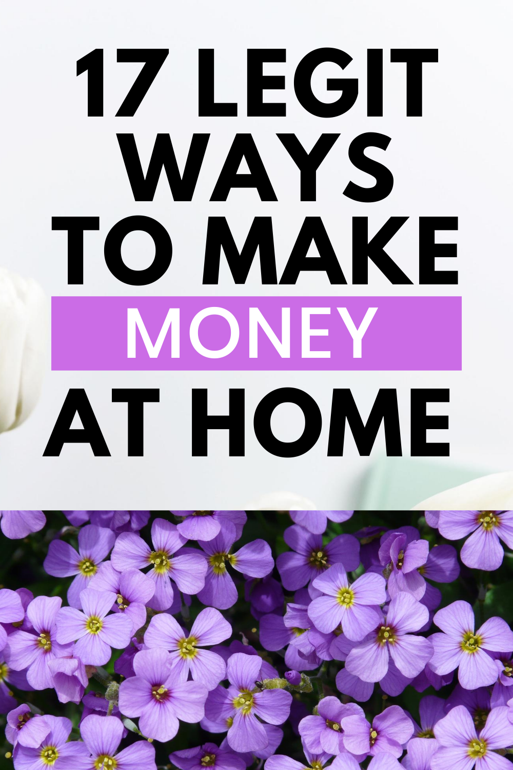<img src="ana.jpg" alt="ana 17 legit ways to make money from home"/> 