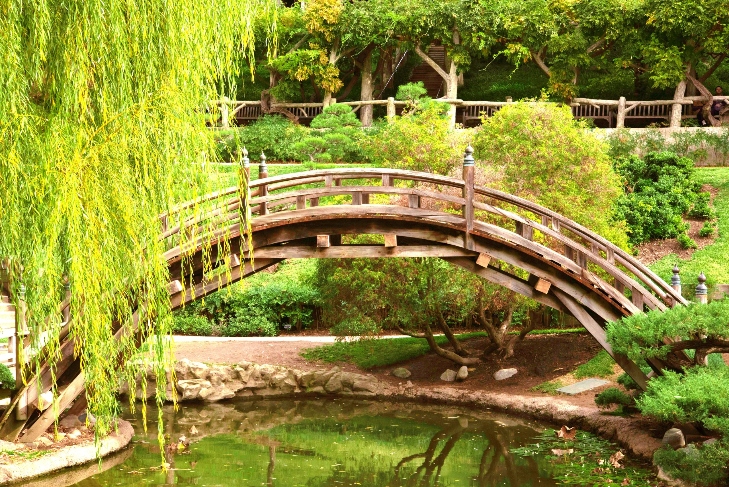 <img src="ana.jpg" alt="ana bridge at huntingdon gardens"/> 