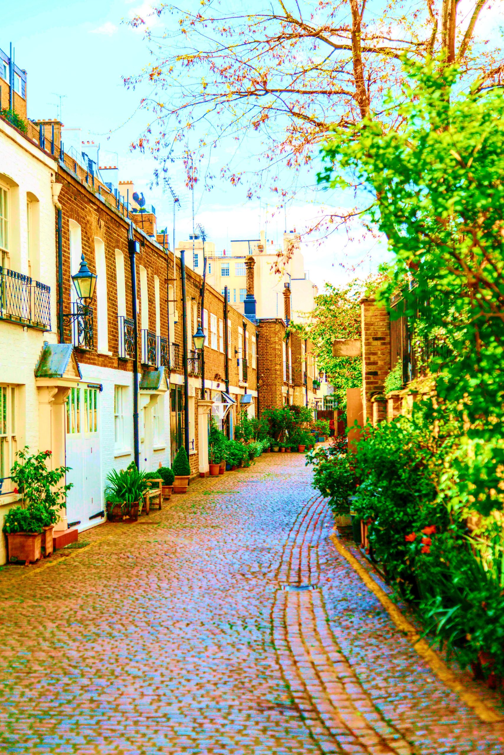 <img src="Notting Hill.jpg" alt="Notting Hill row of houses"/> 