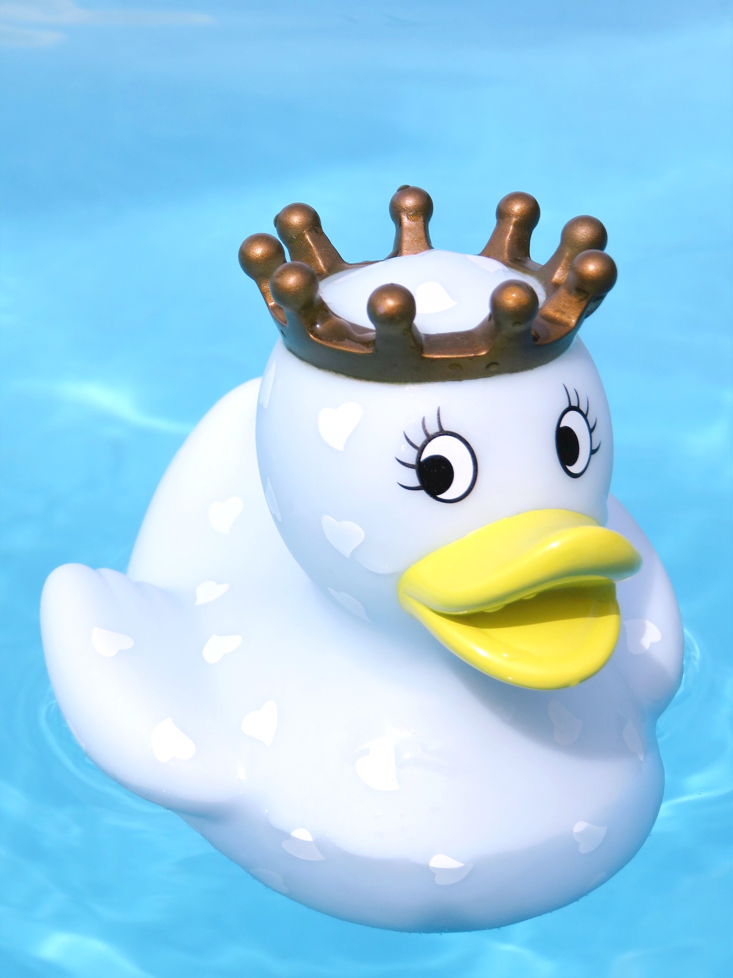 <img src="duck.jpg" alt="king toy duck in water"/> 