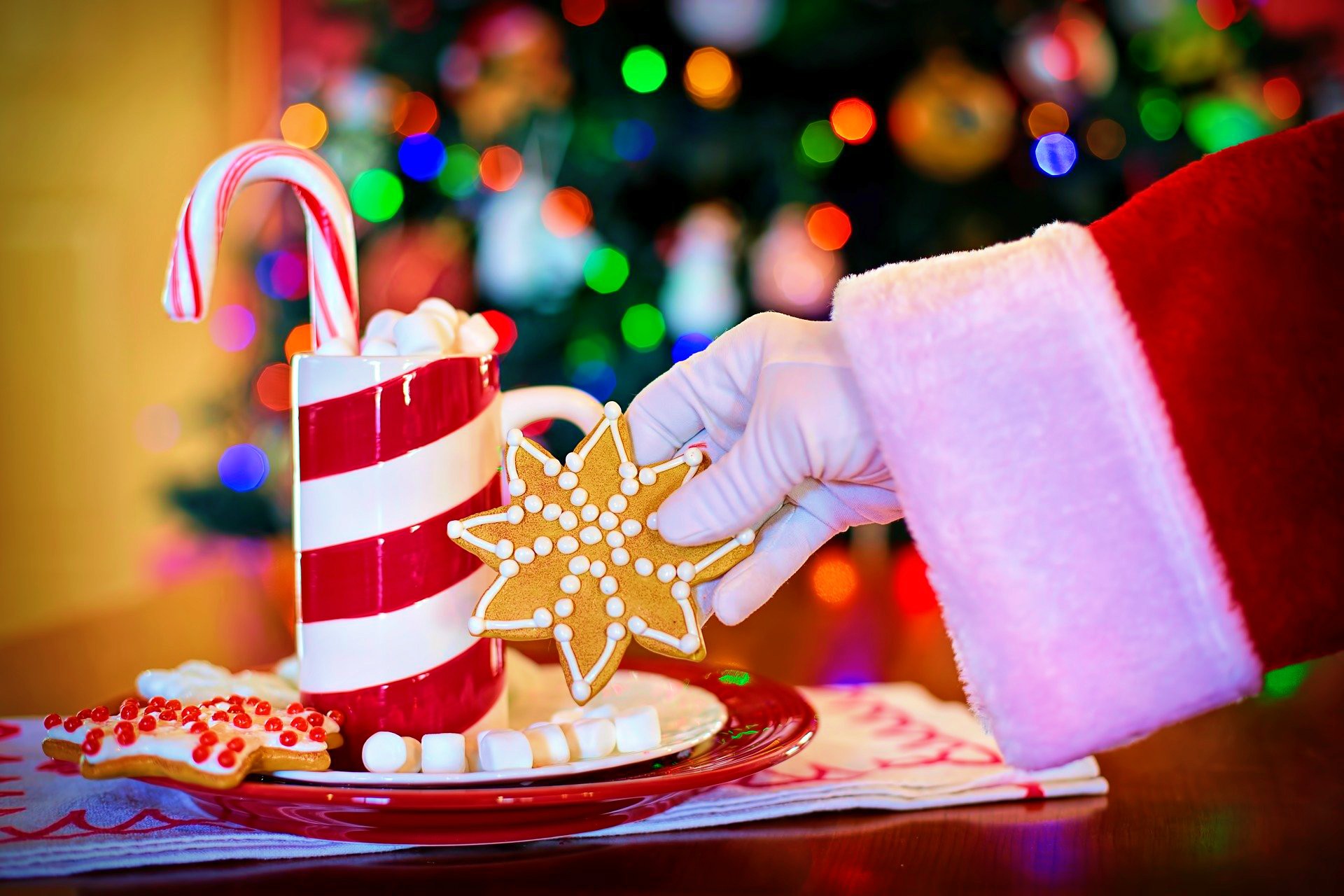 <img src="santa.jpg" alt="santa with cookies"/> 