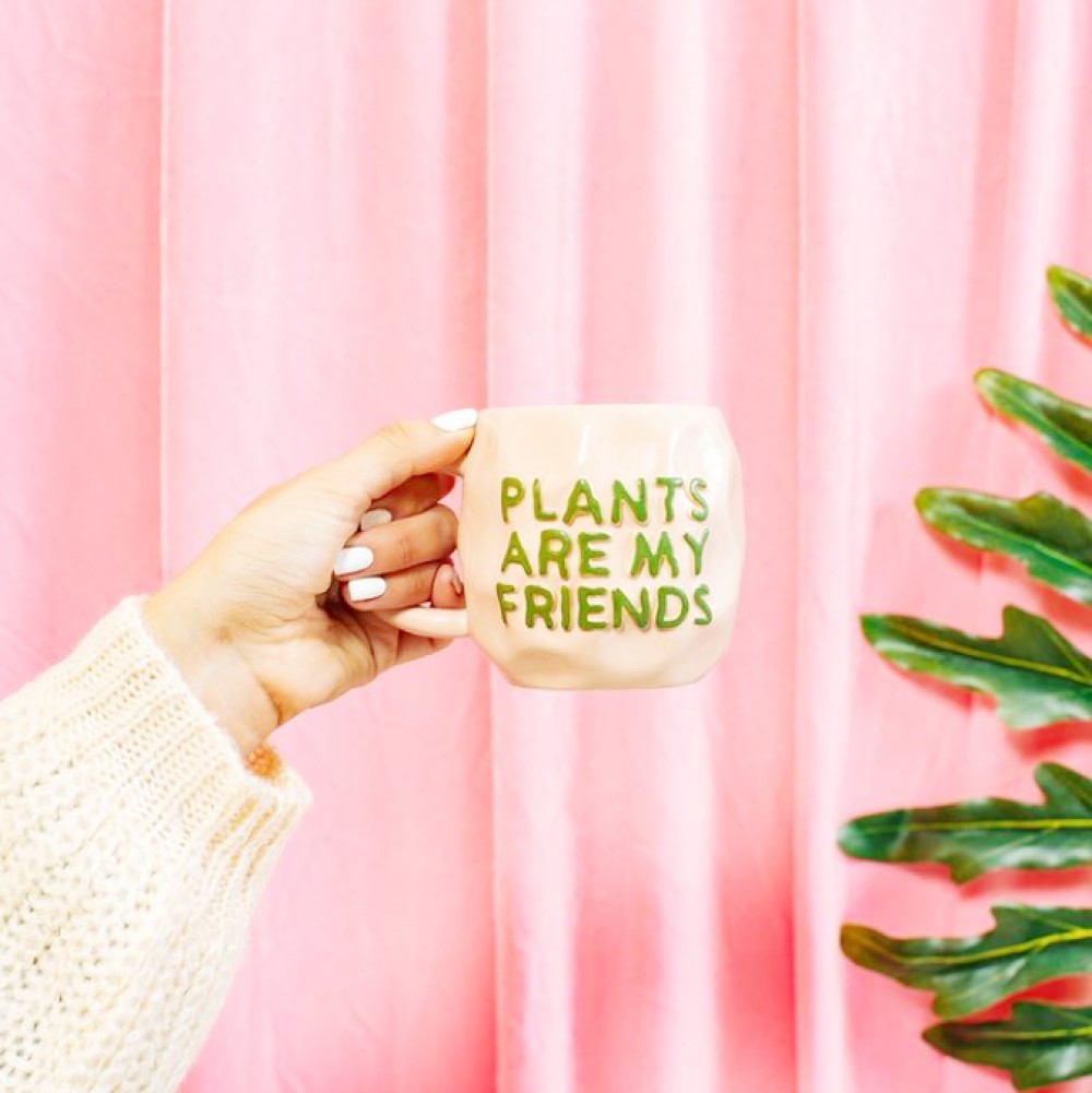 <img src="mug.jpg" alt="plants are my friends mug"/> 