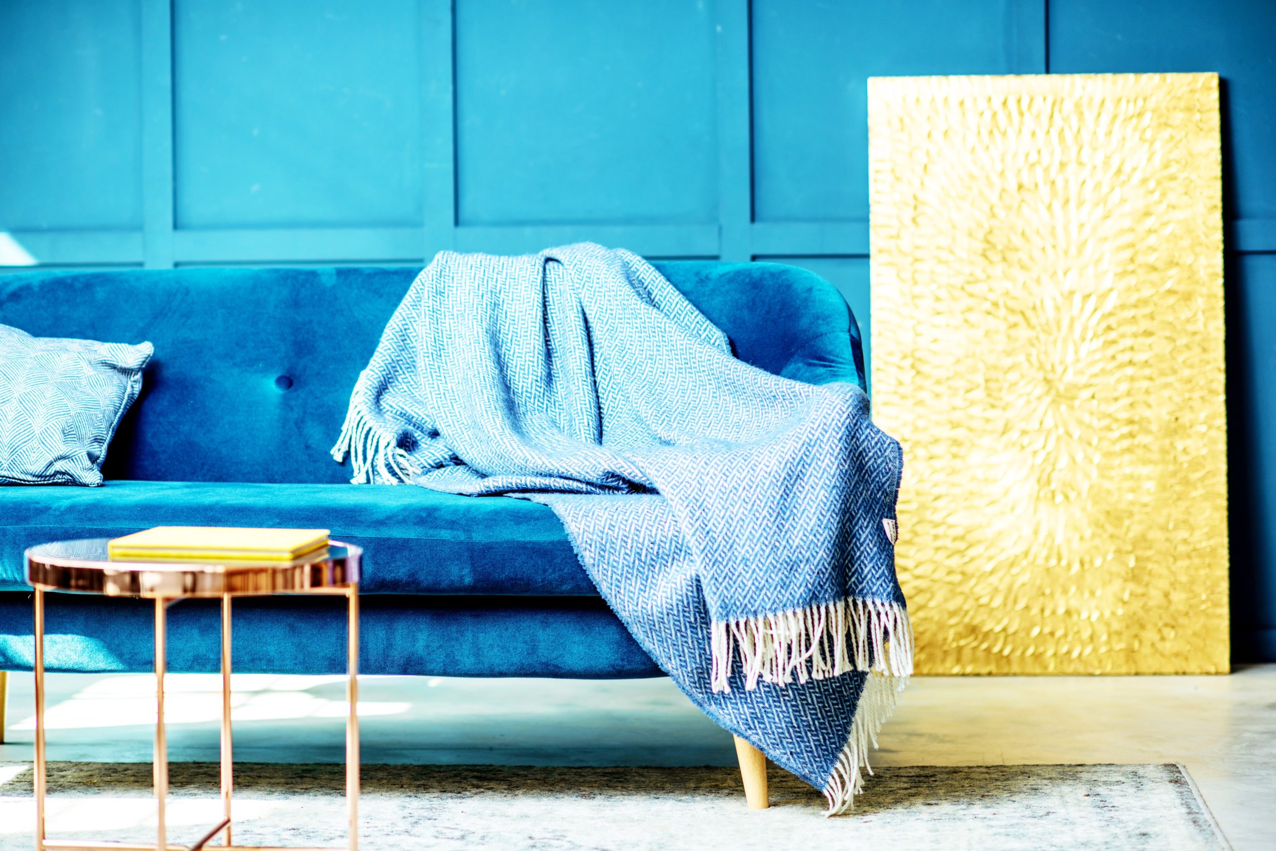 <img src="blue.jpg" alt="blue blanket on blue velvet sofa"/> 