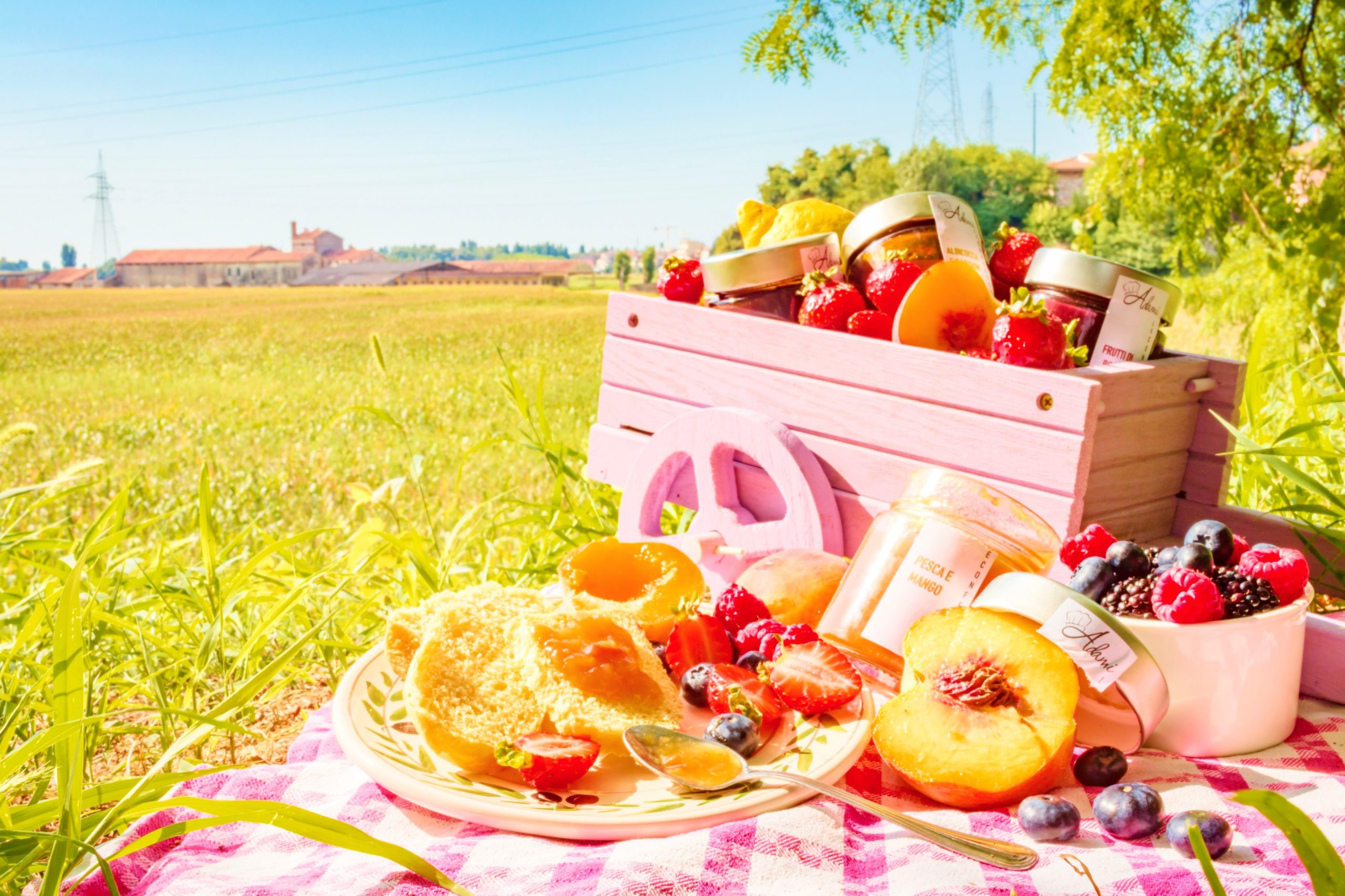 <img src="fresh.jpg" alt="fresh fruit picnic on a farm"/> 