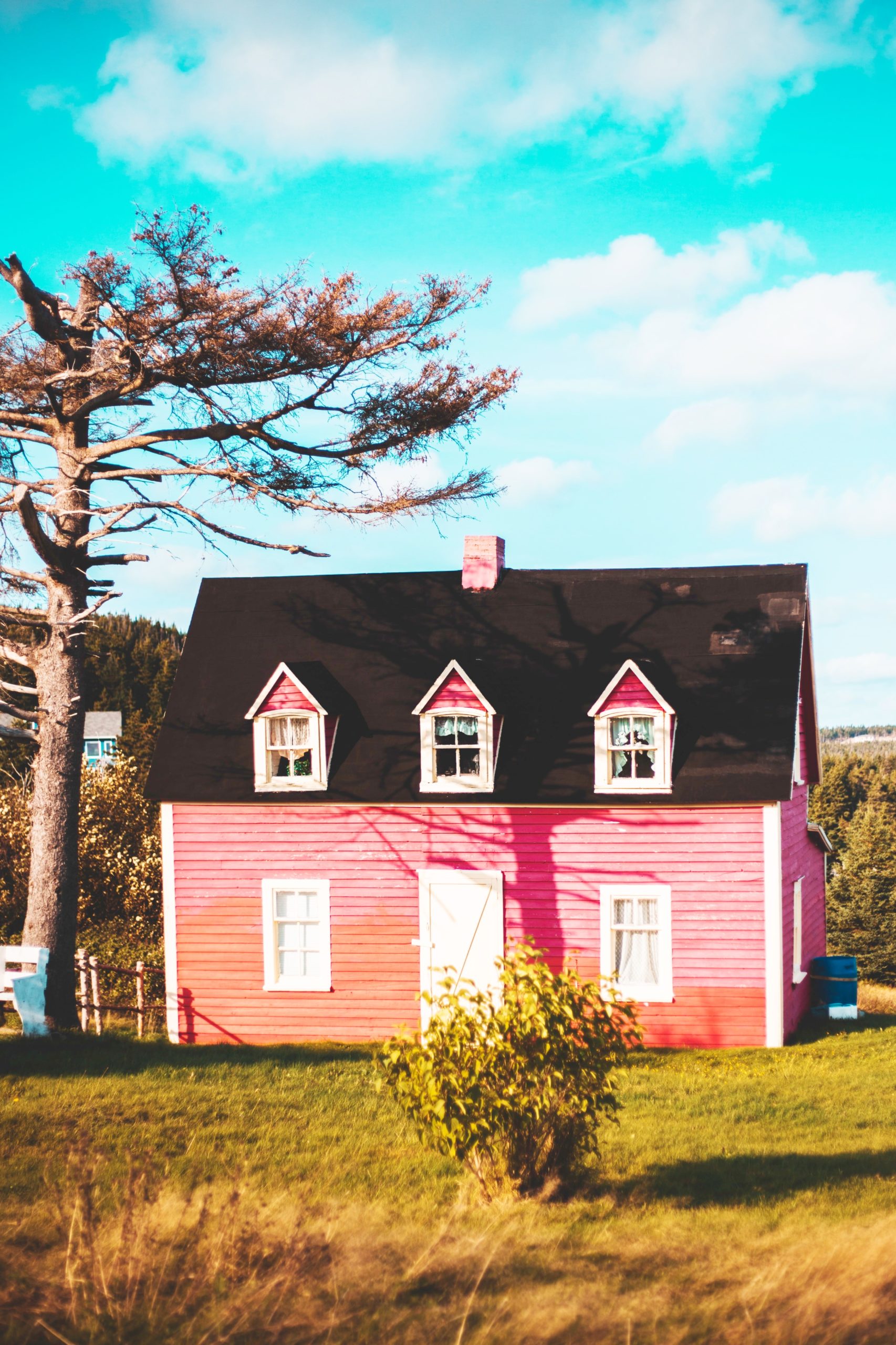 <img src="pink.jpg" alt="pink house with grass"/> 