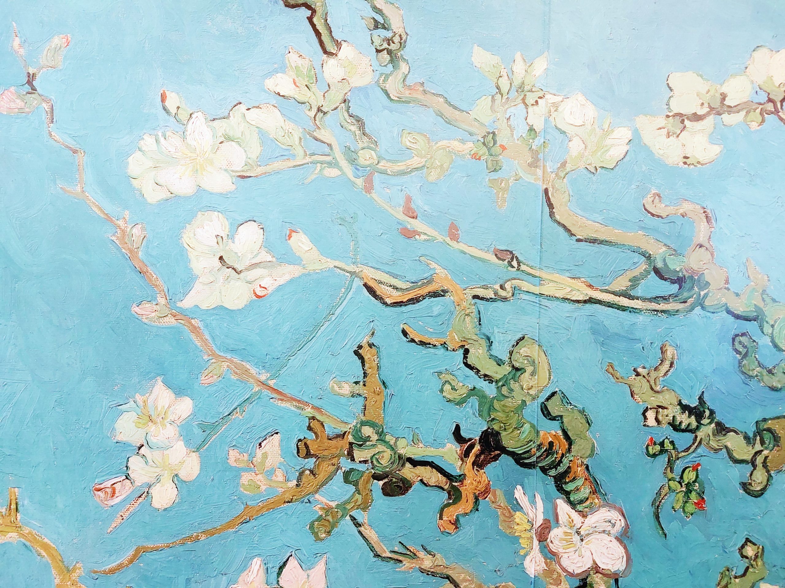 <img src="almond.jpg" alt="almond blossom blue wall Van Gogh"/> 