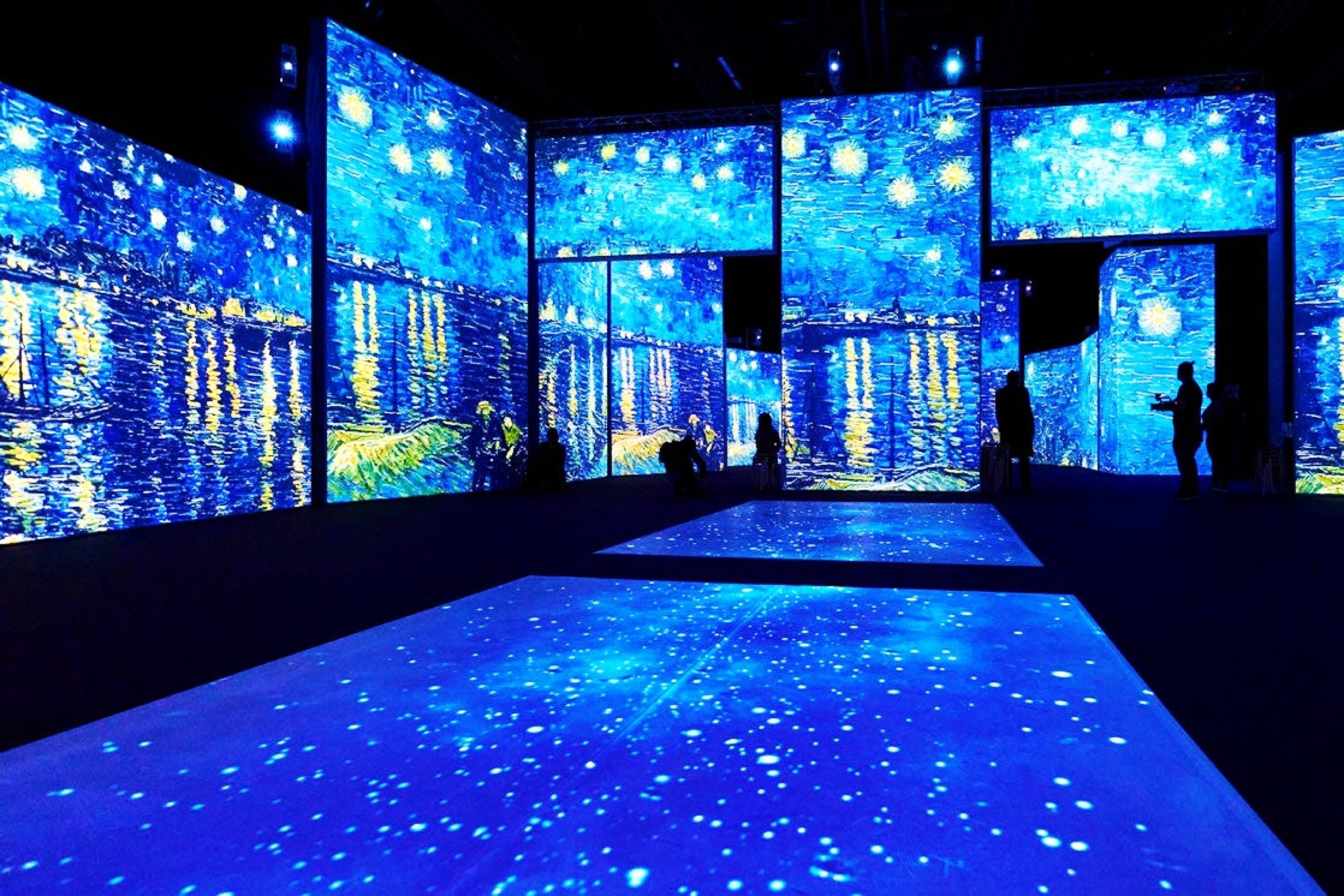 <img src="Van.jpg" alt="Van Gogh Alive Starry Night Installation"/> 