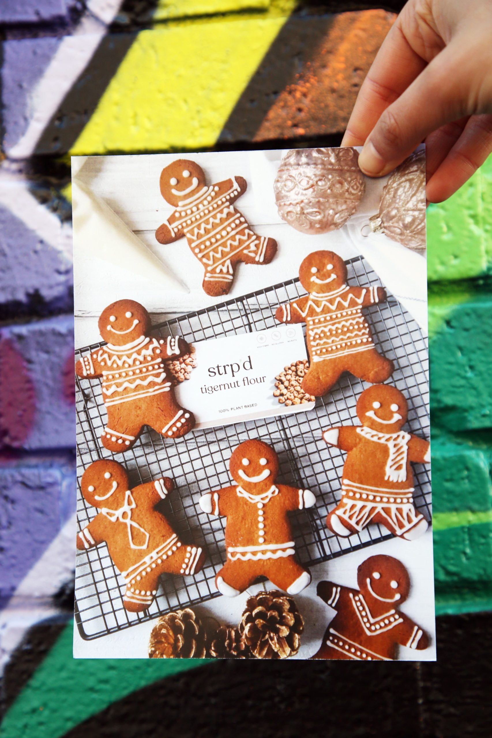 <img src="gingerbread.jpg" alt="gingerbread cookie Christmas gift for her"/> 