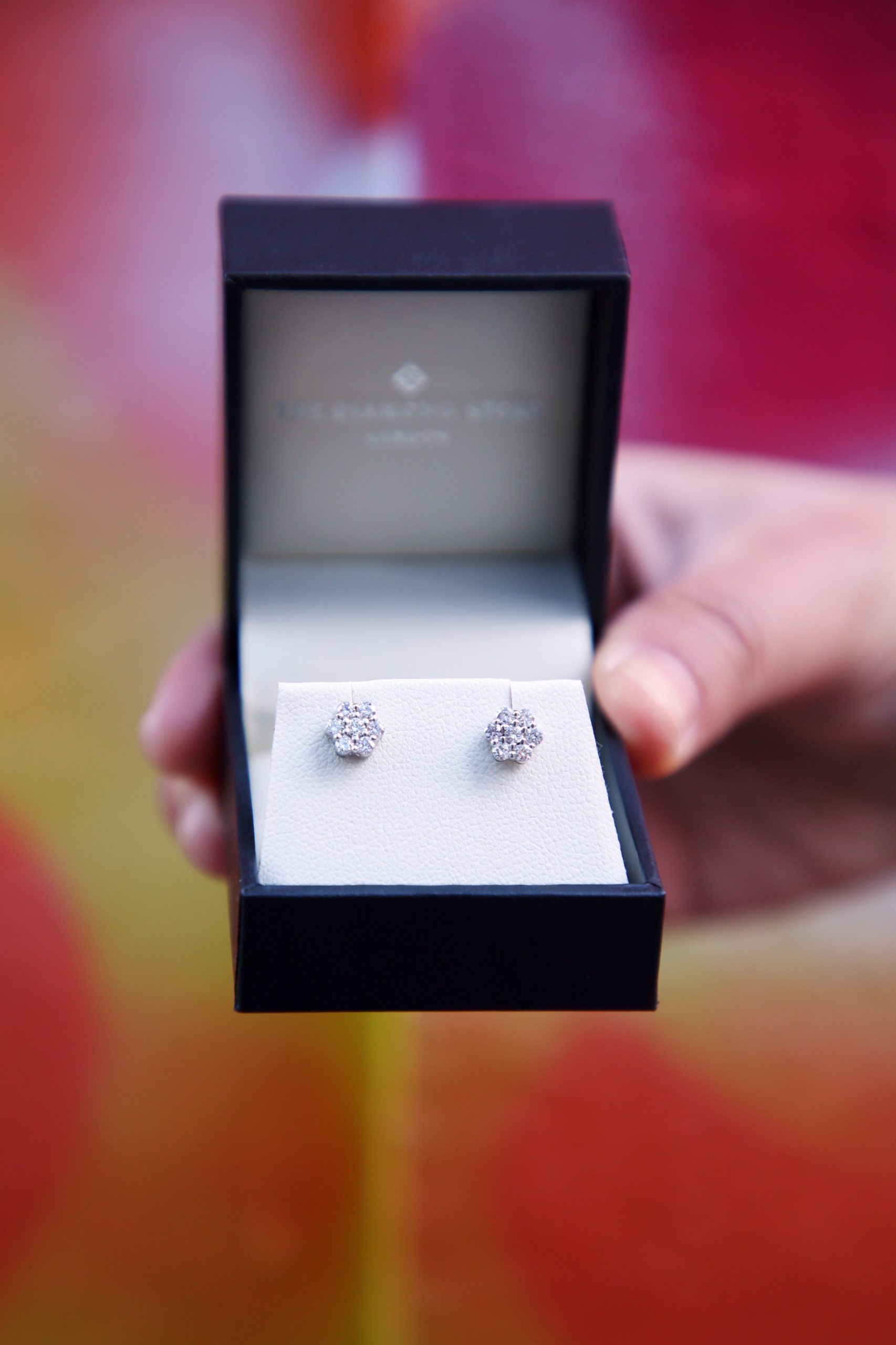 <img src="Diamond.jpg" alt="Diamond Store ethical cluster earrings"/> 