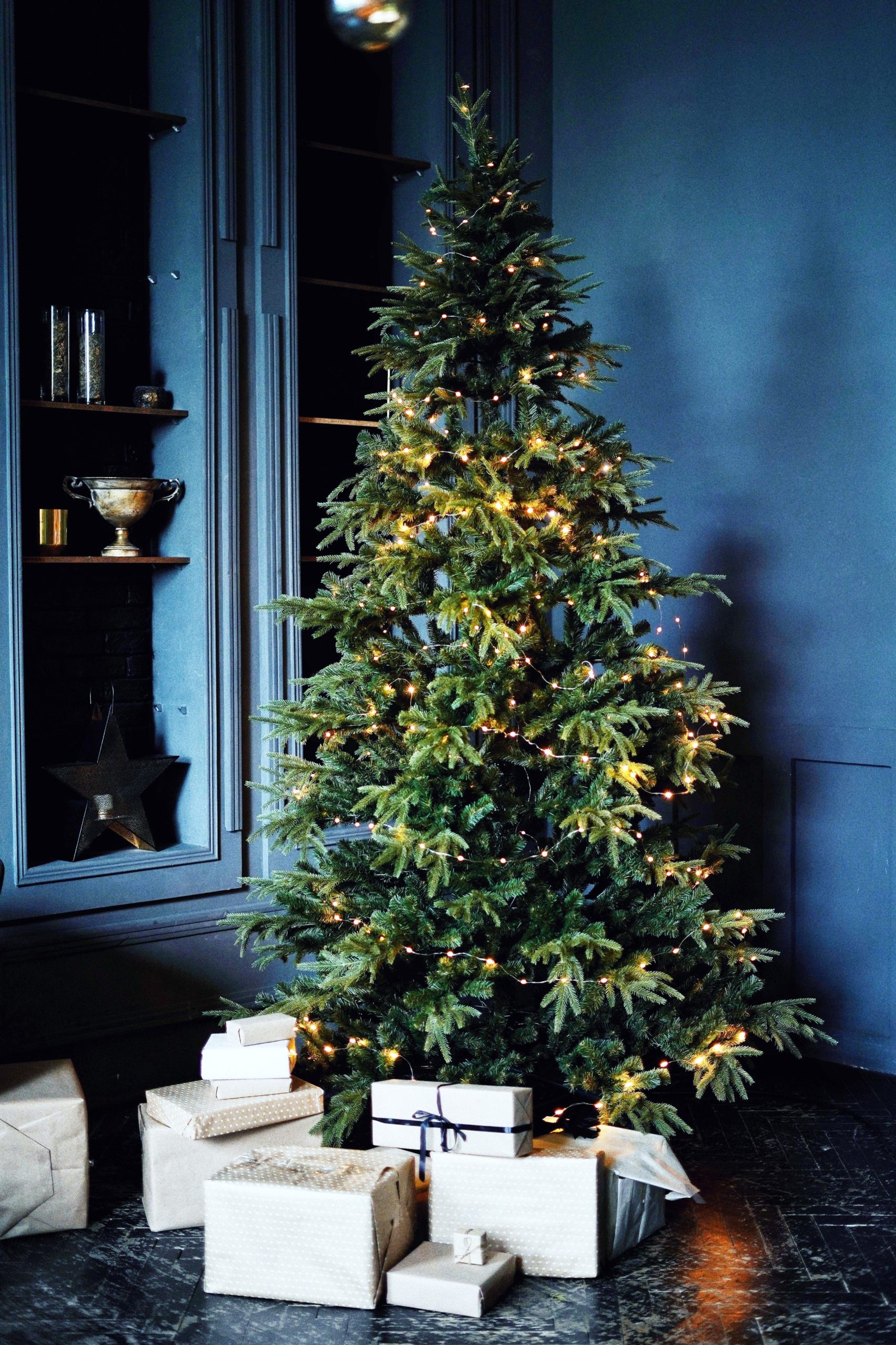 <img src="christmas.jpg" alt="christmas tree with presents"/> 