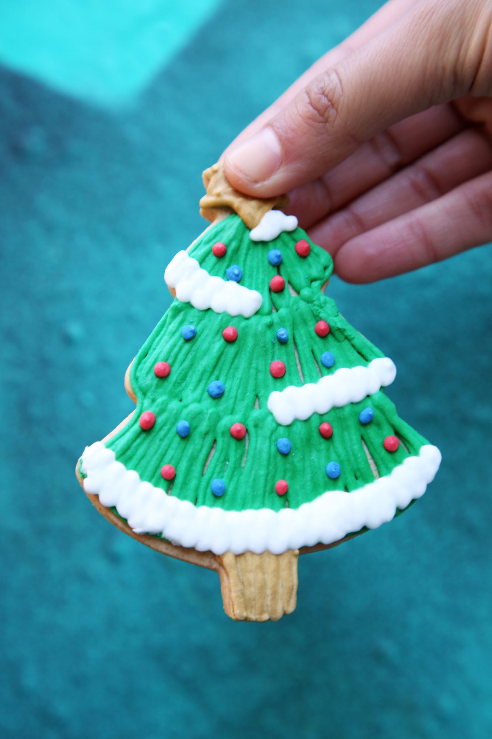 <img src="iced.jpg" alt="iced Christmas tree biscuiteers"/> 