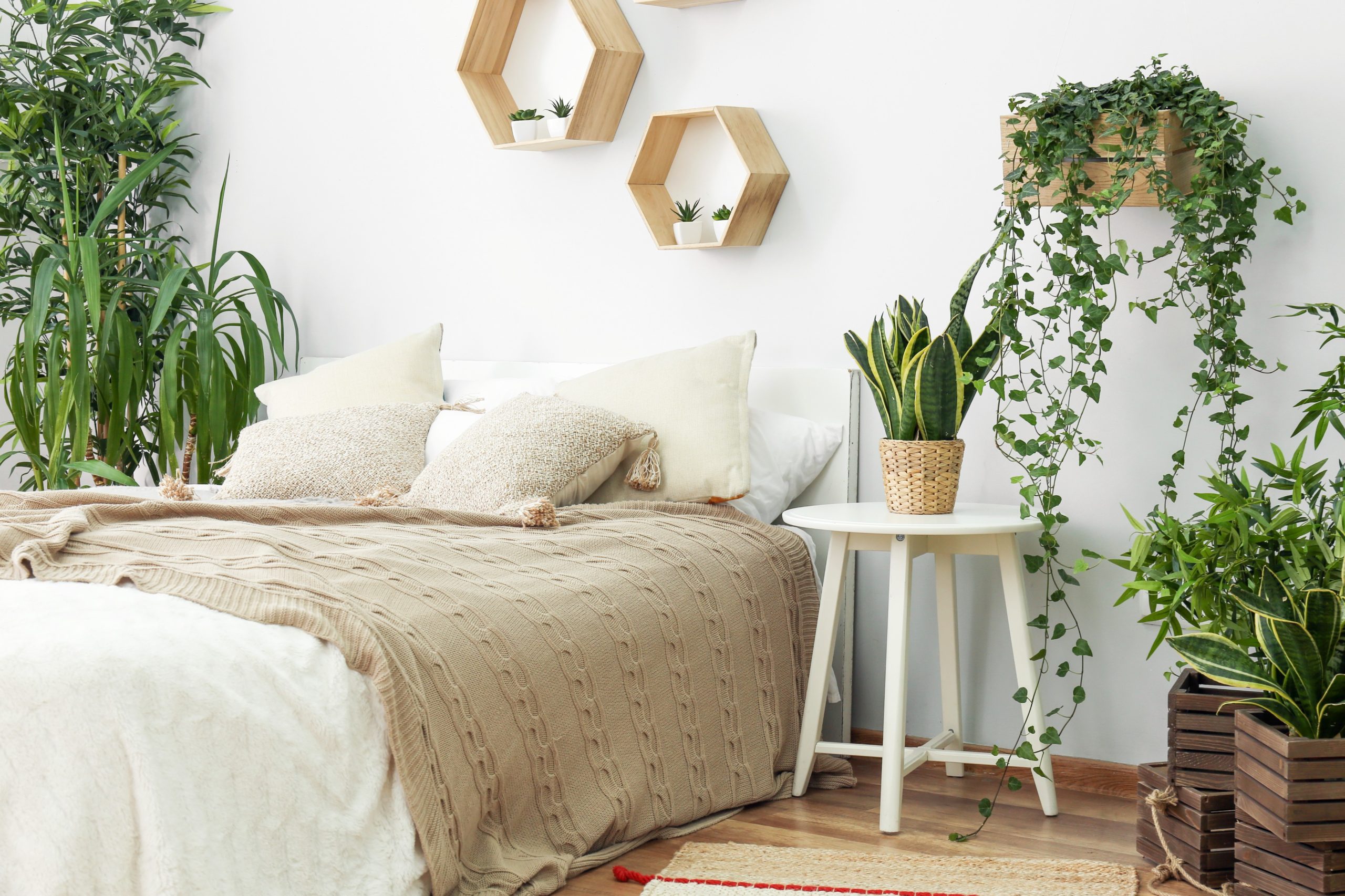 <img src="plant.jpg" alt="plant themed bedroom reflect personality"/> 