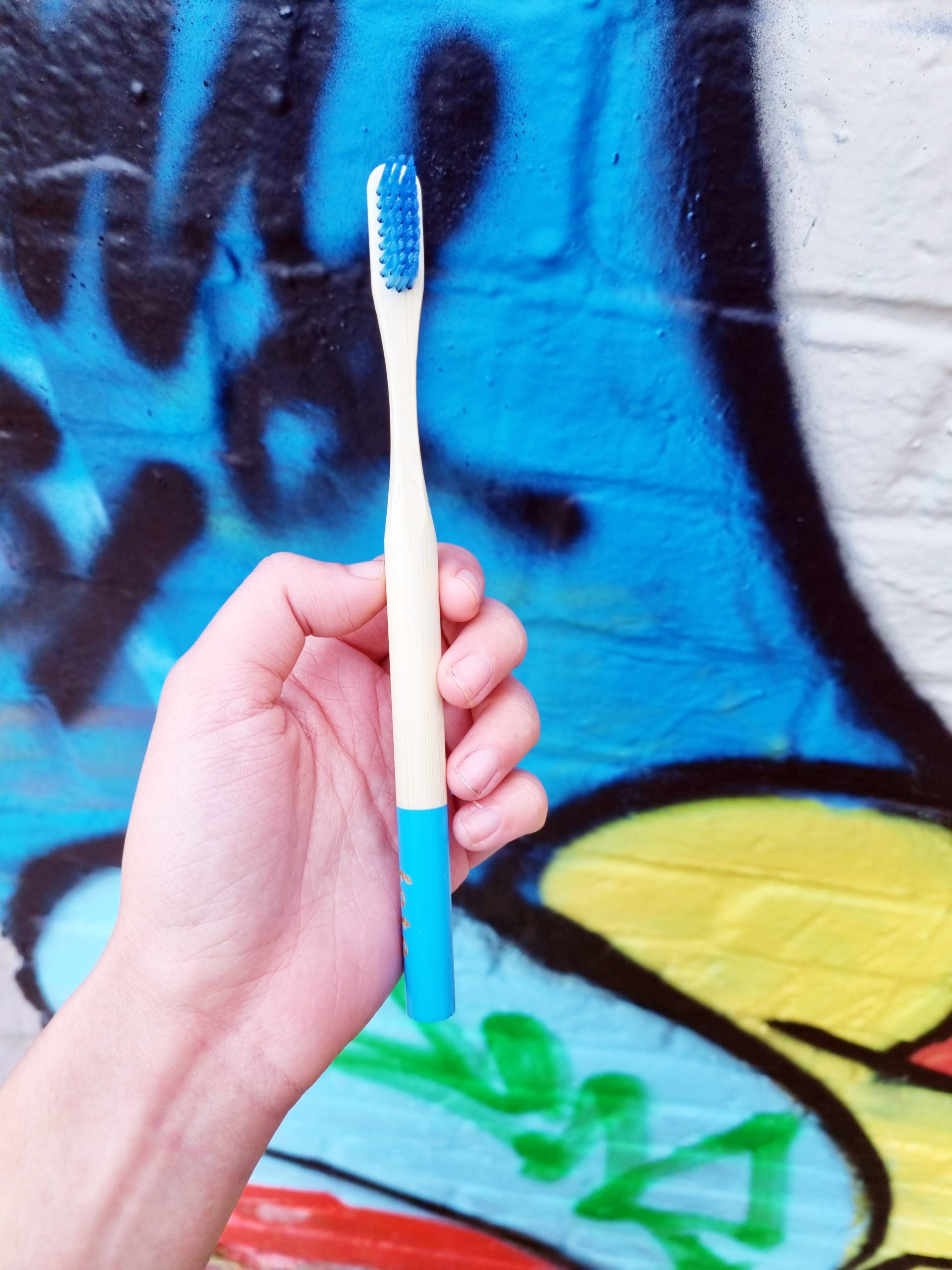 <img src="blue.jpg" alt="eco friendly gift ideas bamboo toothbrush"/> 