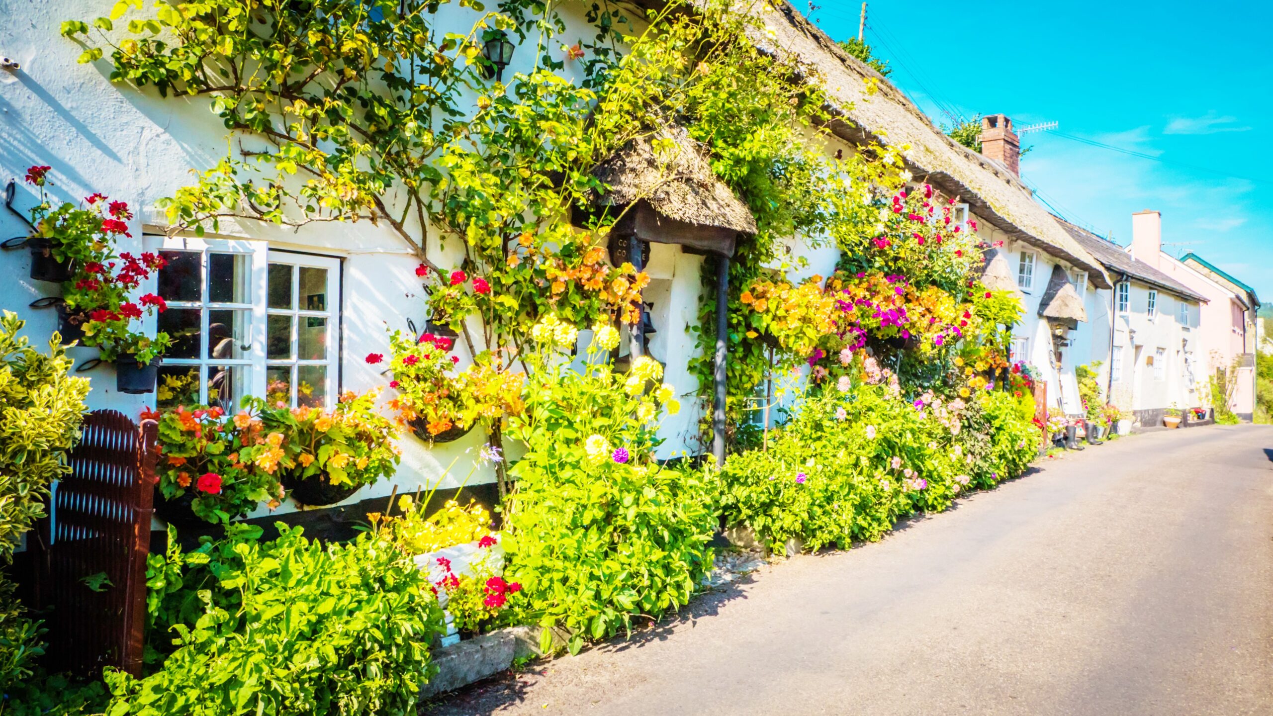 <img src="beautiful.jpg" alt="beautiful cottages in bloom with flowers"/>