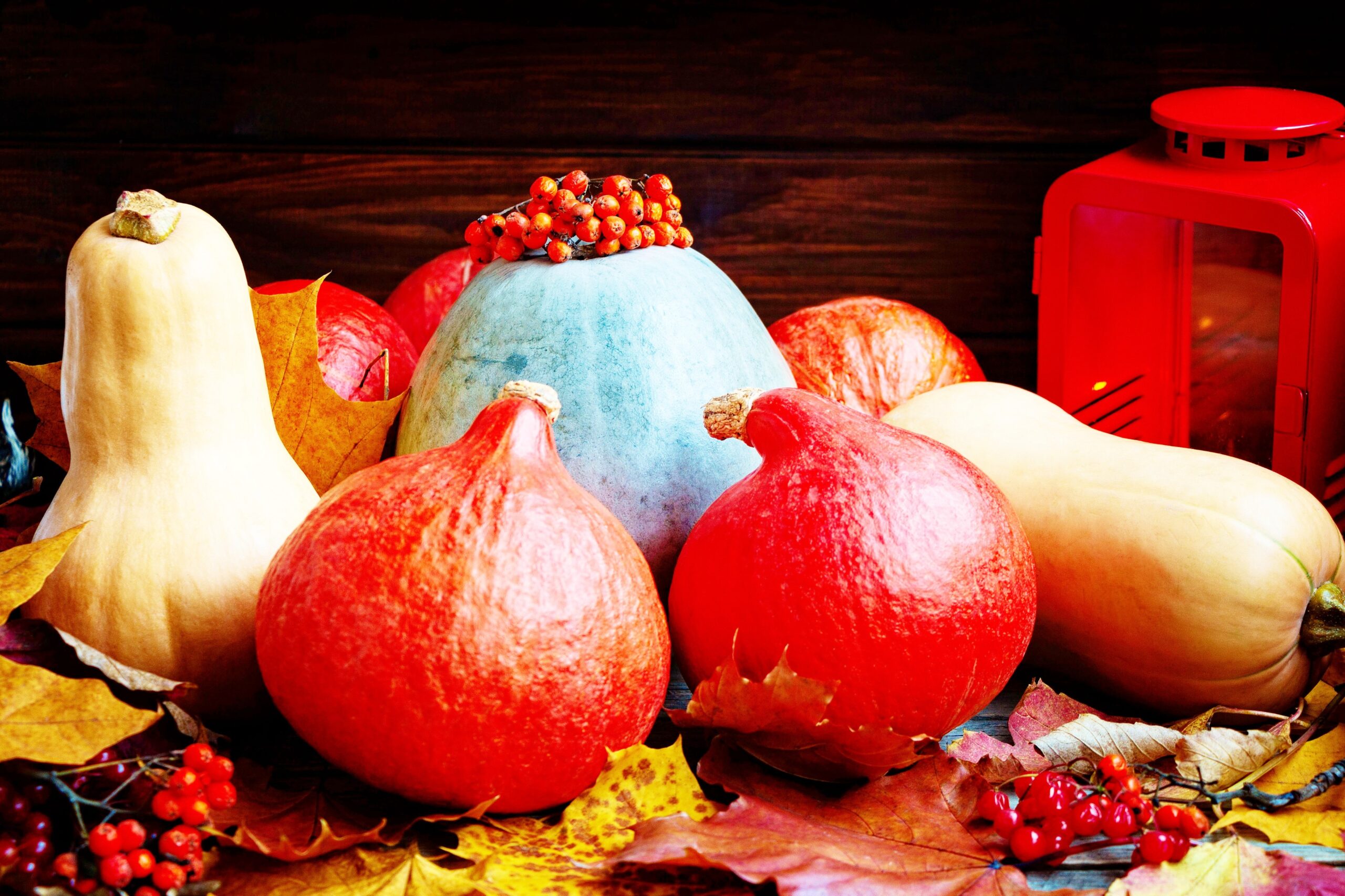<img src="colourful.jpg" alt="colourful qurky pumpkins with firethorn"/>