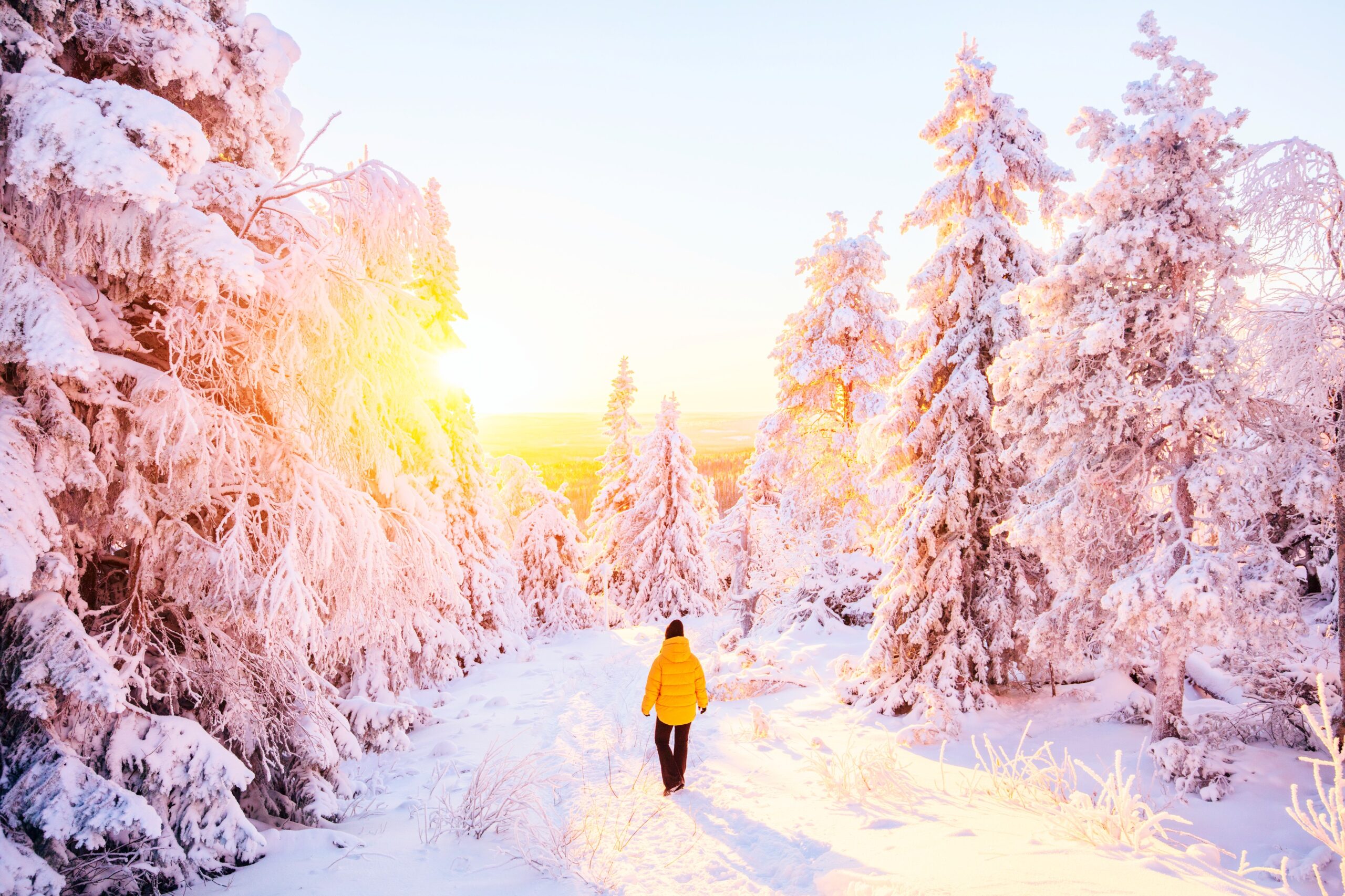 <img src="finland.jpg" alt="finland forest holistic benefits of hiking"/>