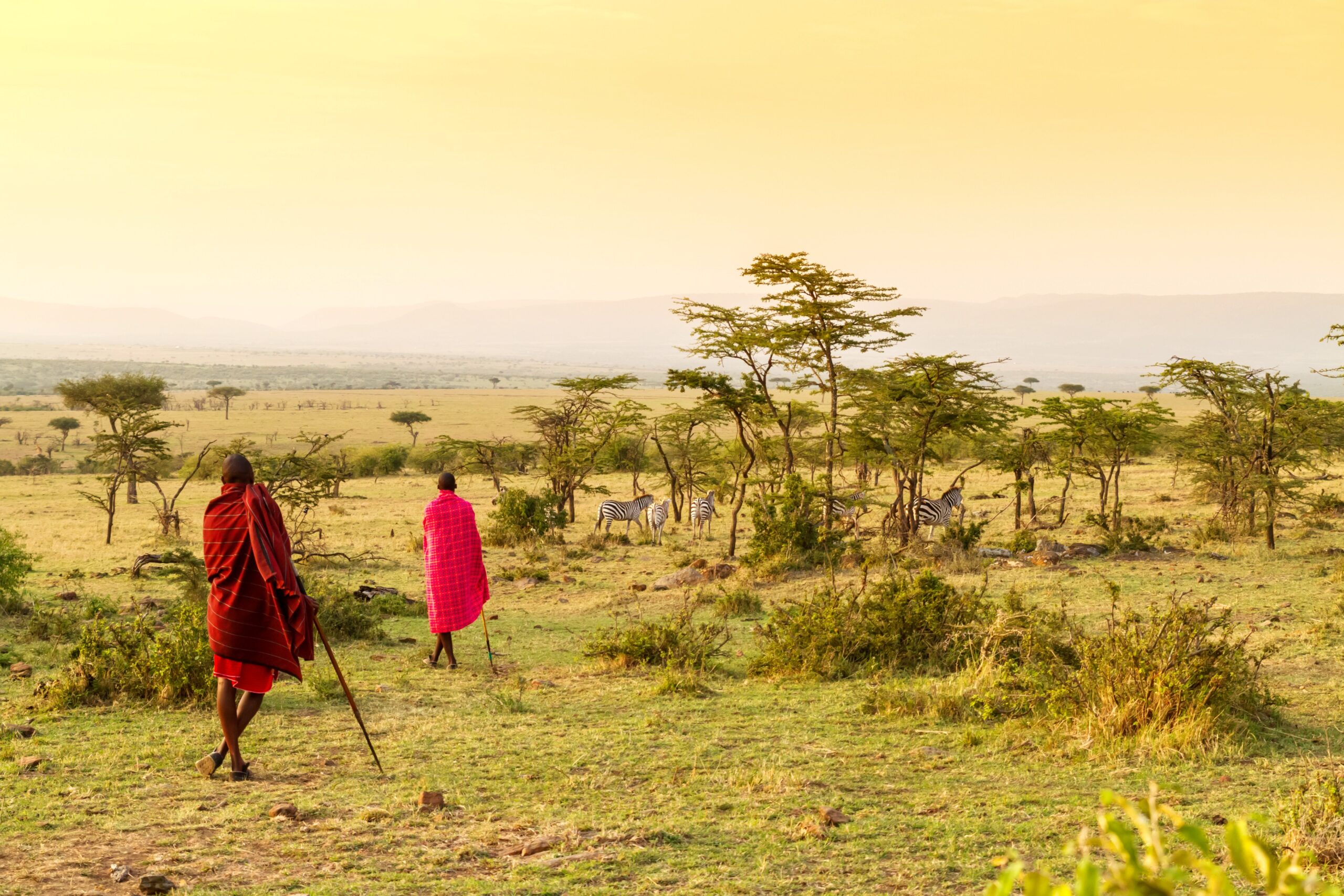 <img src="masai.jpg" alt="masai tribe in kenya savvanahs"/>