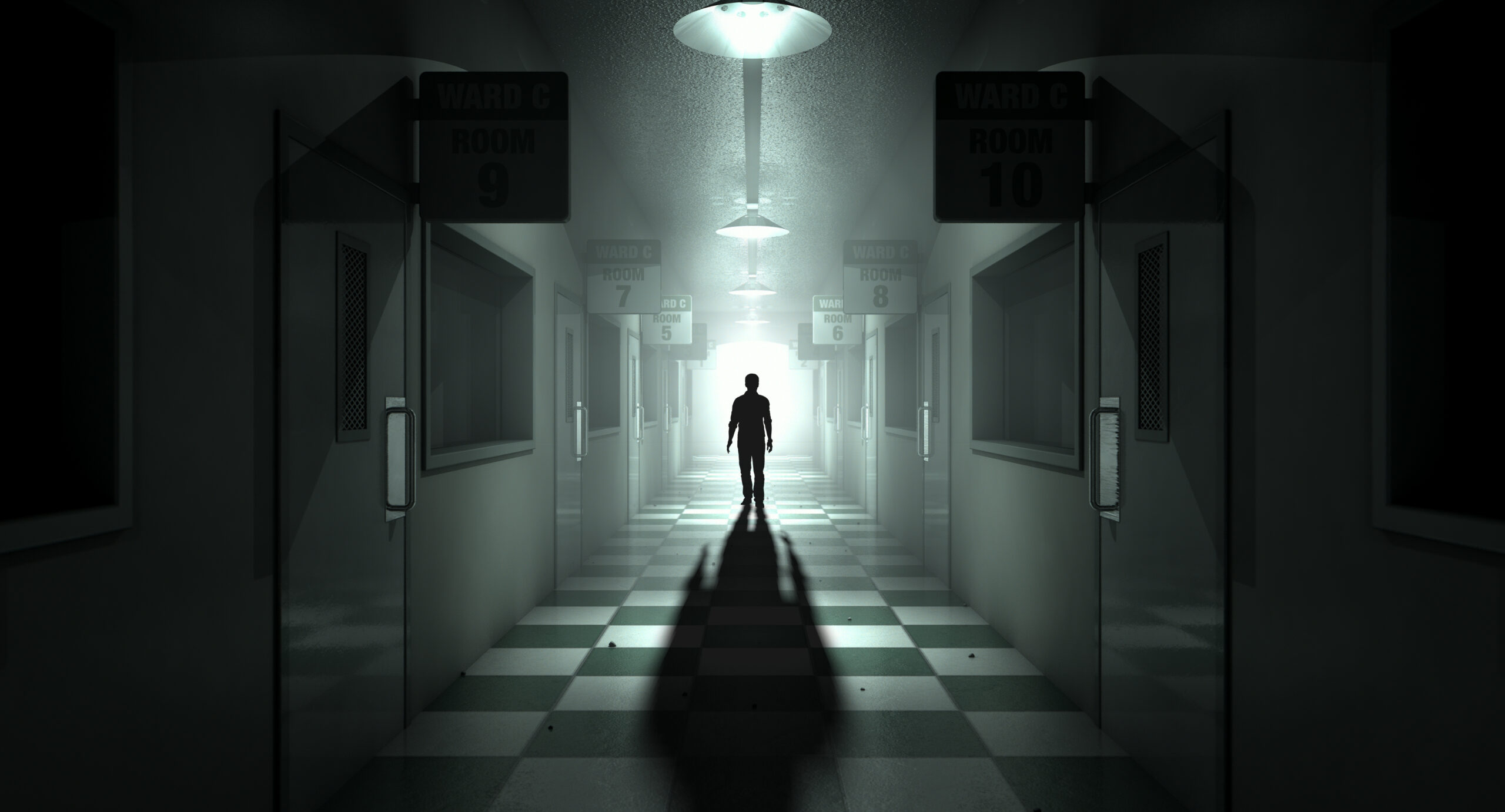 <img src="shadow.jpg" alt="shadow of a person walking through halls"/>