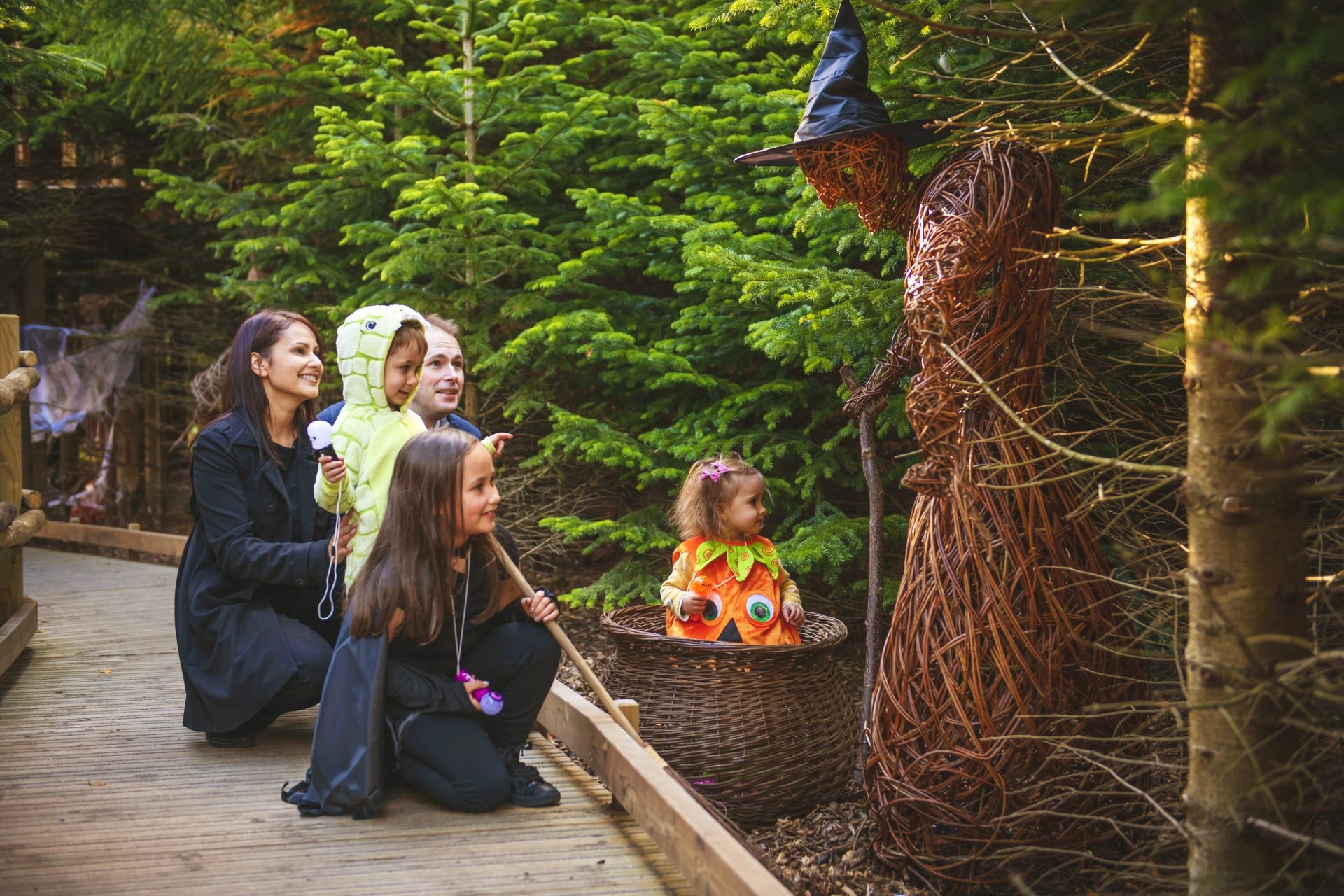 <img src="plotters.jpg" alt="plotters forest at raby estate halloween "/> 