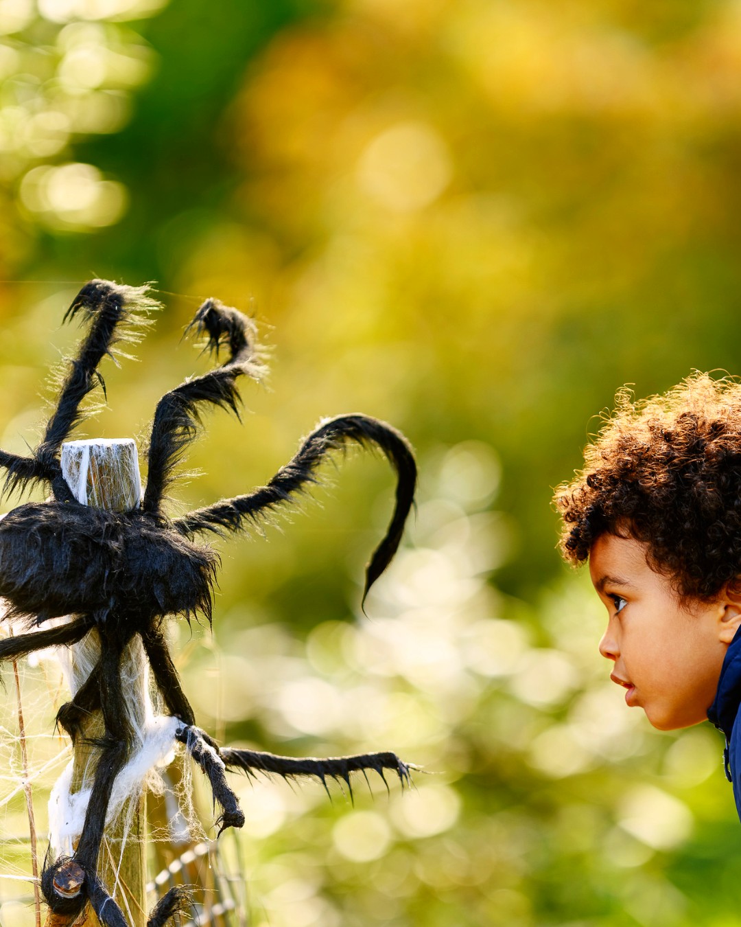 <img src="stonor.jpg" alt="stonor park spidr halloween decor"/> 